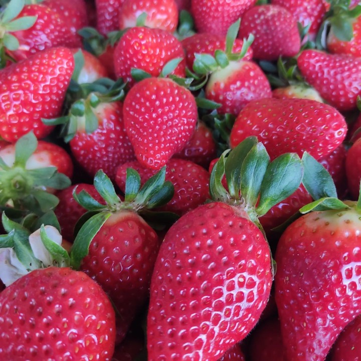 274135691_2240935732712842_7266377222869450284_n.j