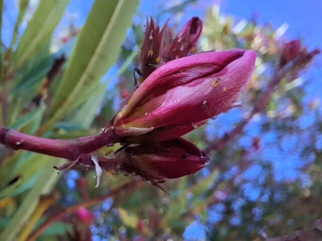 505488291_10014664551982093_9119286768591035462_n.