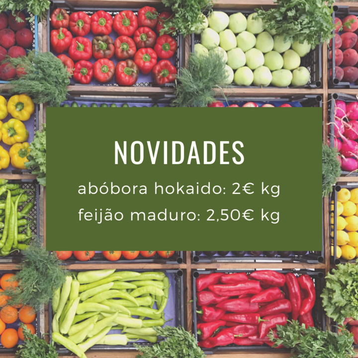 Novidades4jul.png Novidades4jul.png