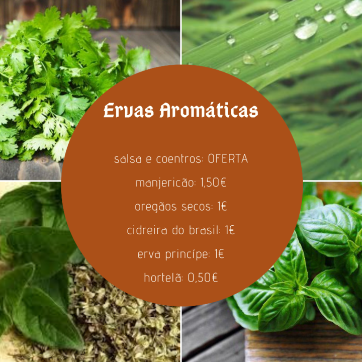 ErvasAromaticas15Agos.png