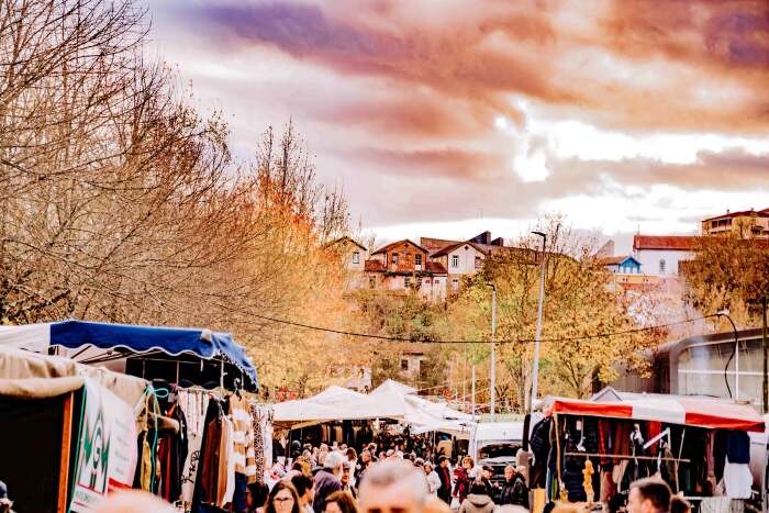 DSC01143 - Cópia.jpg