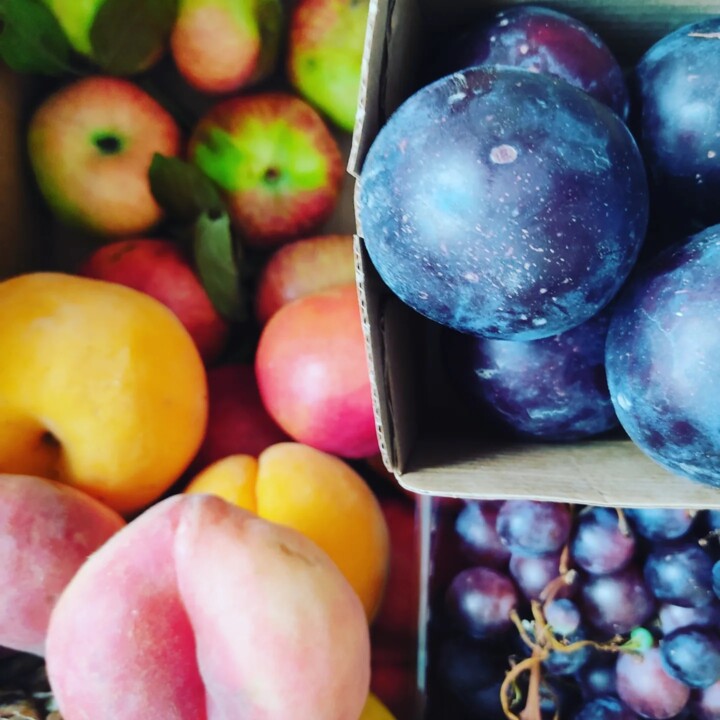 452457756_876482311175847_4880632664465660501_n.jp