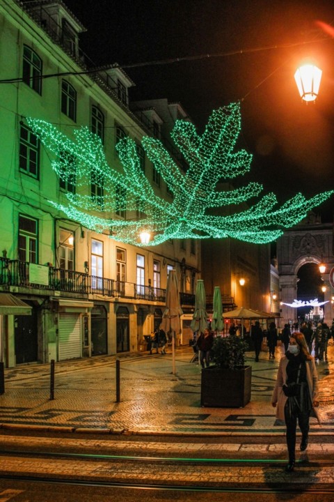 natal 9.jpg natal 9.jpg