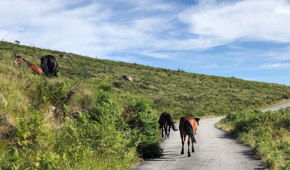 5849DBFF-F94D-44F3-9847-EB84AD539B56.jpeg 5849DBFF-F94D-44F3-9847-EB84AD539B56.jpeg