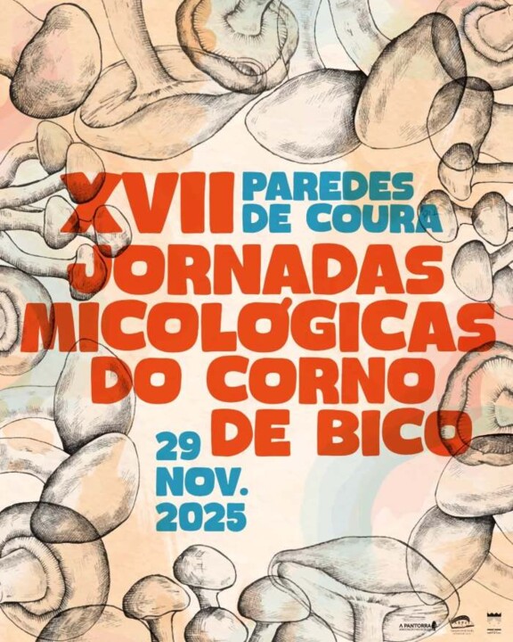 574784314_18090356116906799_3491767252256993467_n.