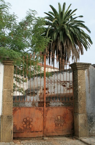 Seminário Gavião palmeira.jpeg