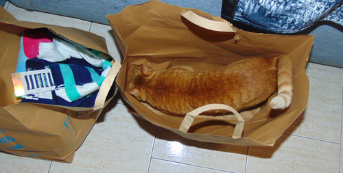 catcompras2.JPG