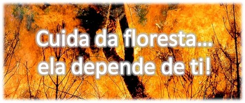 floresta.jpg floresta.jpg