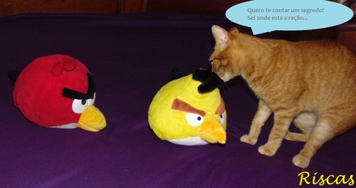 segredo.JPG segredo.JPG