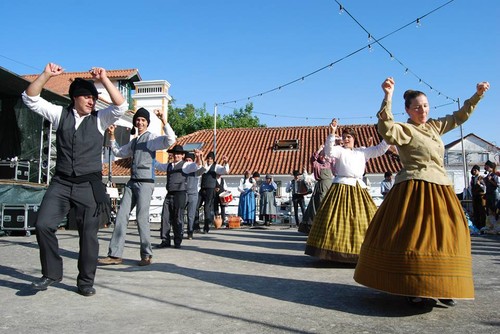 11828612_880998528615784_2754316310699658789_n.jpg 11828612_880998528615784_2754316310699658789_n.jpg