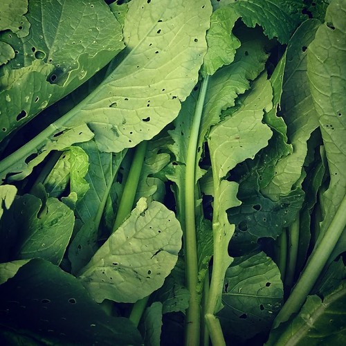 21751859_964211937051901_1958811063884182076_n.jpg 21751859_964211937051901_1958811063884182076_n.jpg