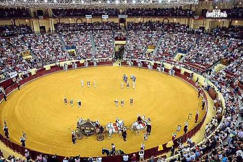 campo pequeno portuguesa.jpg