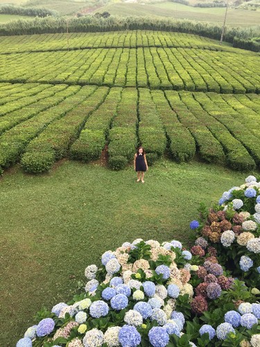 IMG-4232.JPG IMG-4232.JPG