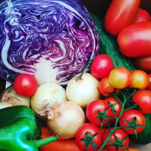 36549011_1132779103528516_7780313031703003136_n.jp