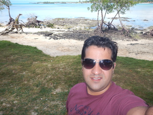 podre d&#39;or 2.JPG