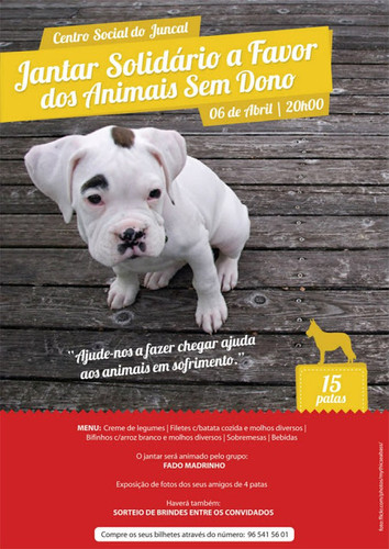 Pelos animais sem dono...