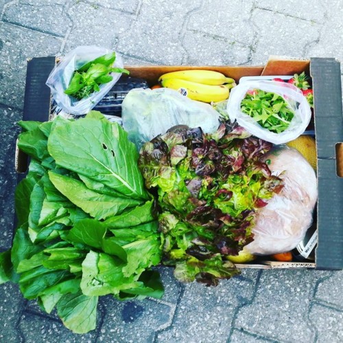 32169567_1093633864109707_1065608560395681792_n.jp 32169567_1093633864109707_1065608560395681792_n.jp