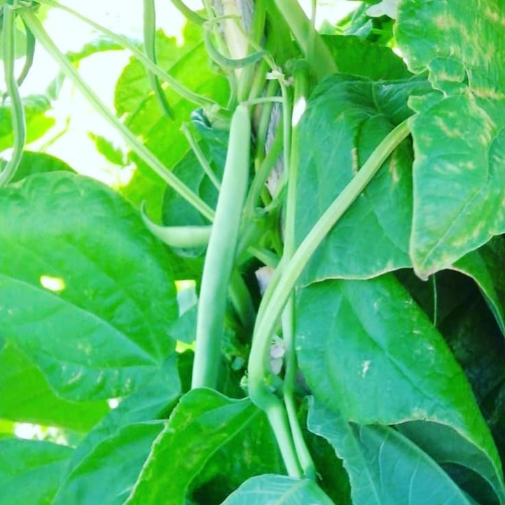 217409464_2069336343206116_3026476635543288167_n.j