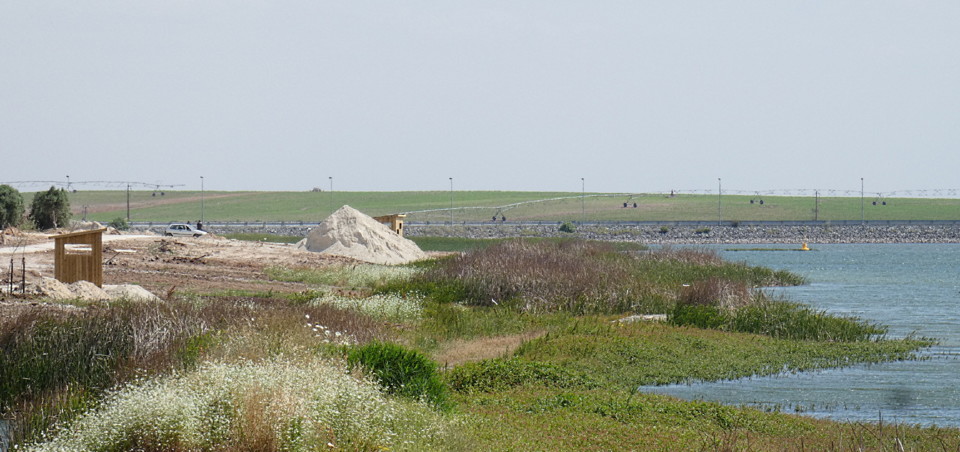 P1080355.JPG P1080355.JPG