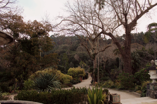 IMG_5635.jpg IMG_5635.jpg