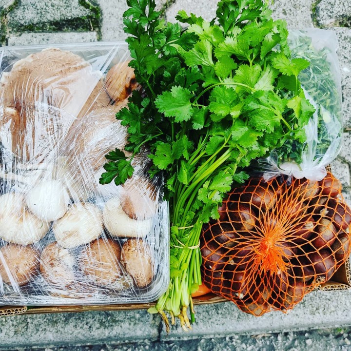 125563814_1873385452801207_1170903771675919376_o.j