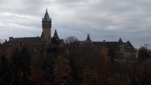 20181111_153502.jpg 20181111_153502.jpg