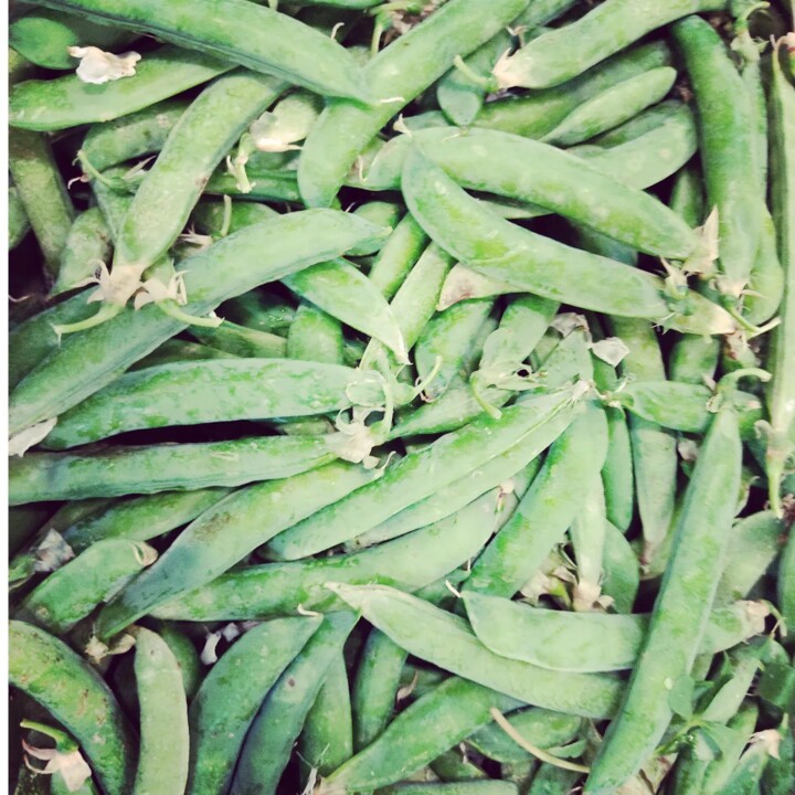 342923774_198600042937421_8962862124011863957_n.jp