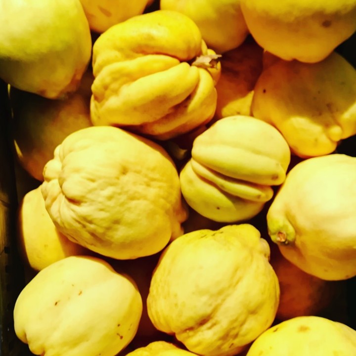 71170750_1465238540282569_7585024721339547648_n.jp