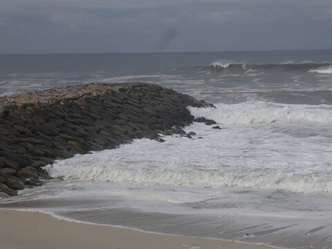 29b_Vagueira (23).JPG