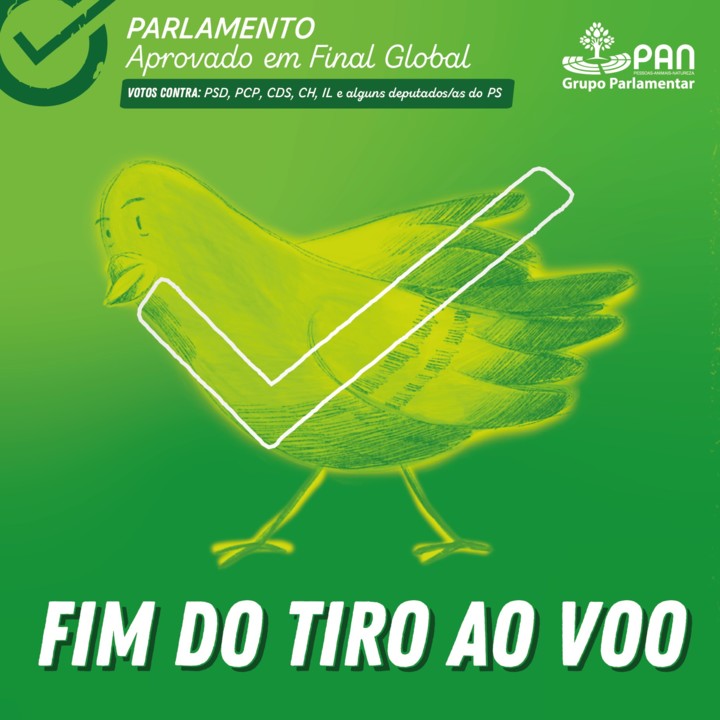 FIM DO TIRO AO POMBO.jpg