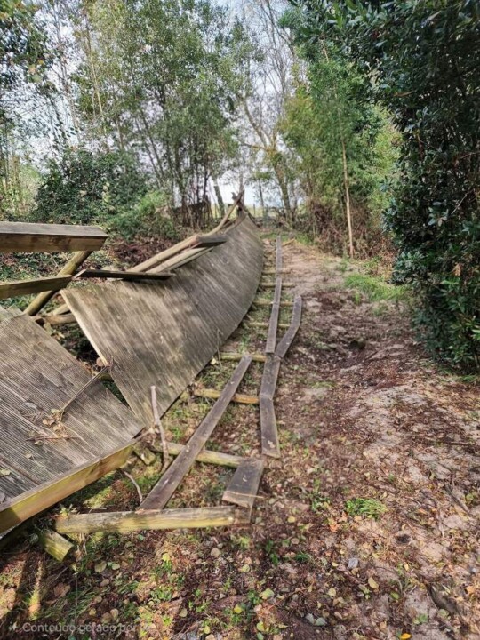 Imagem WhatsApp 2025-11-22 às 14.20.29_017b048a.j