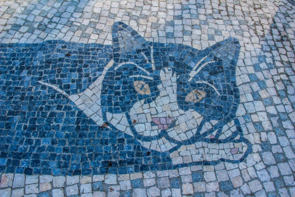 jardim cesario verde a 3.jpg