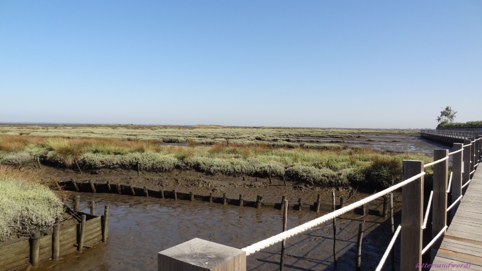 DSC07922.JPG DSC07922.JPG