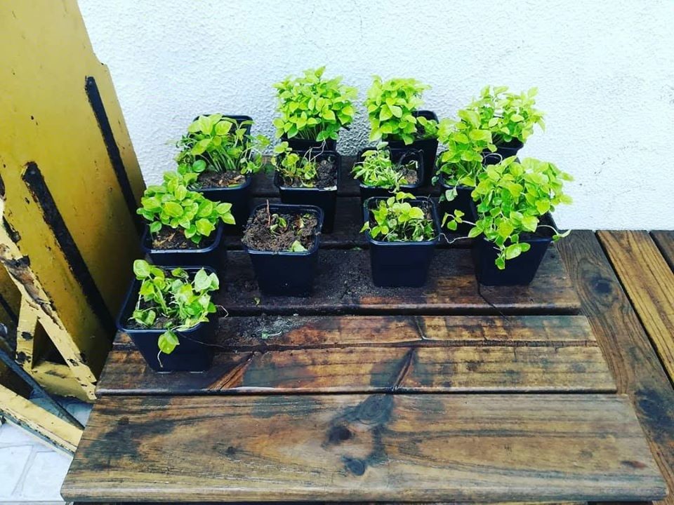 74289182_1512018498937906_6061008365796982784_o.jp