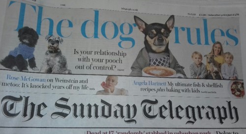 20190303_114722-1.jpg 20190303_114722-1.jpg