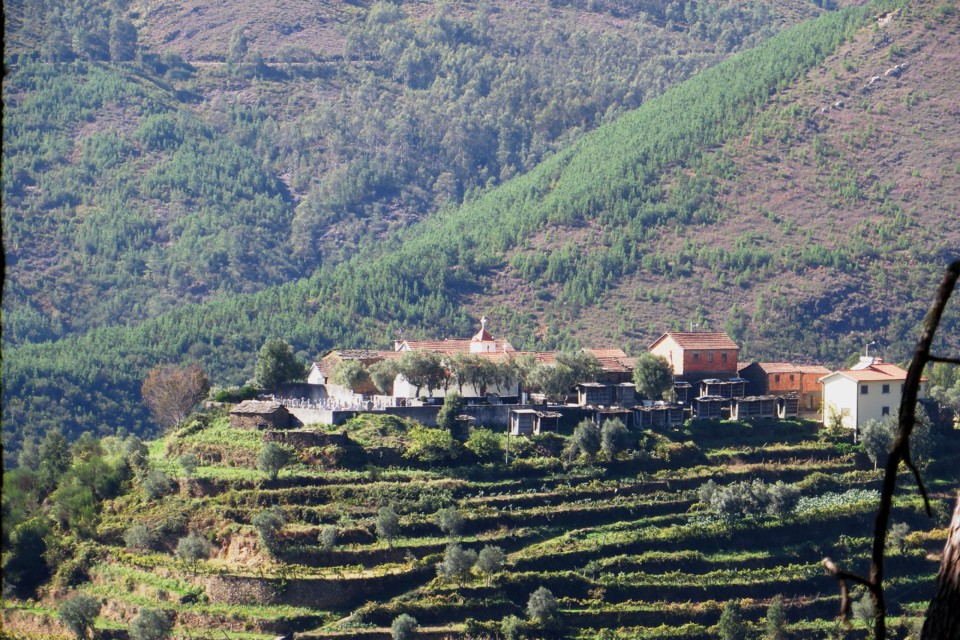 IMG_4683.JPG IMG_4683.JPG