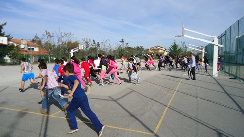 Prova corta mato lajeosa