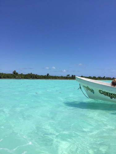 Primeira Casa da Rua by Nuno Matos Cabral no Méxi Primeira Casa da Rua by Nuno Matos Cabral no Méxi