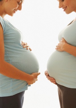 PMA procriação medicamente assistida grávidas.j