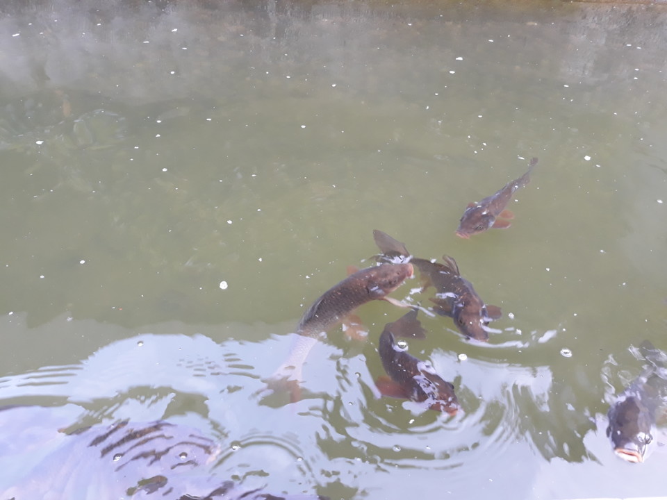 20200506_192656.jpg 20200506_192656.jpg