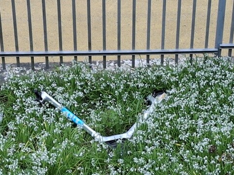 01a_Trotinete (4).jpg