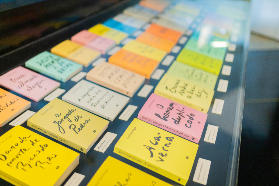 descarregar (13).jpg