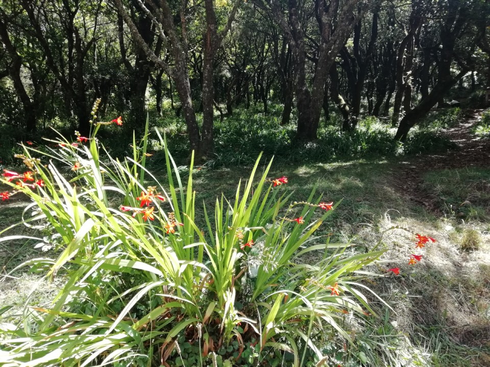 IMG_20200825_134118.jpg IMG_20200825_134118.jpg