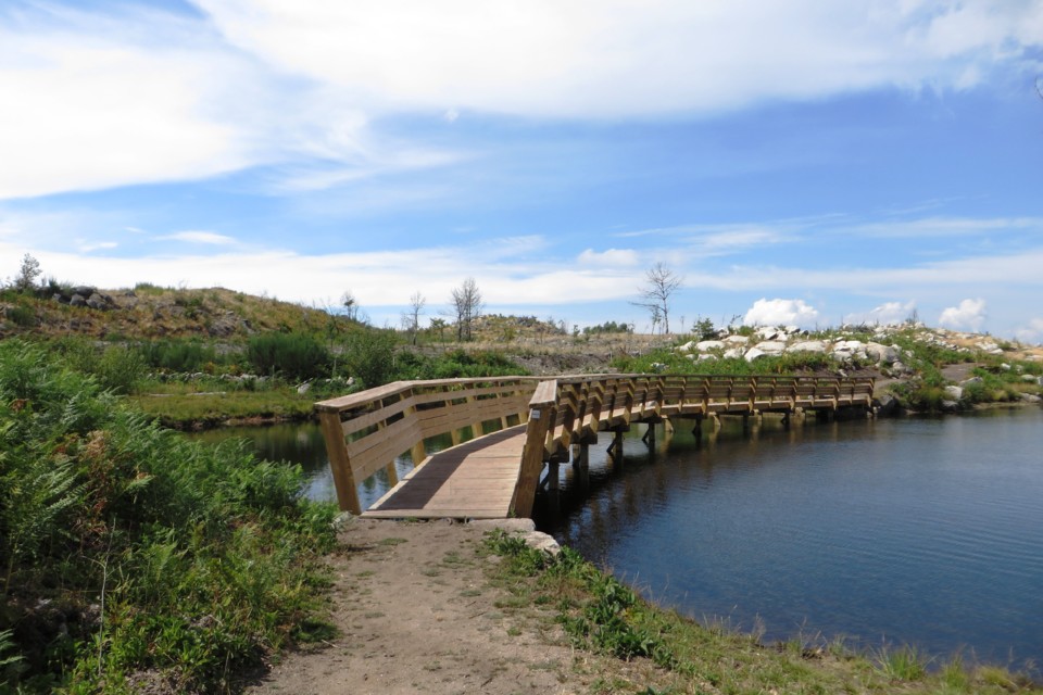 IMG_3398.JPG IMG_3398.JPG