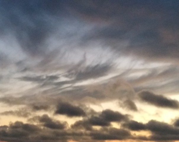 IMG_20201009_195319.jpg IMG_20201009_195319.jpg