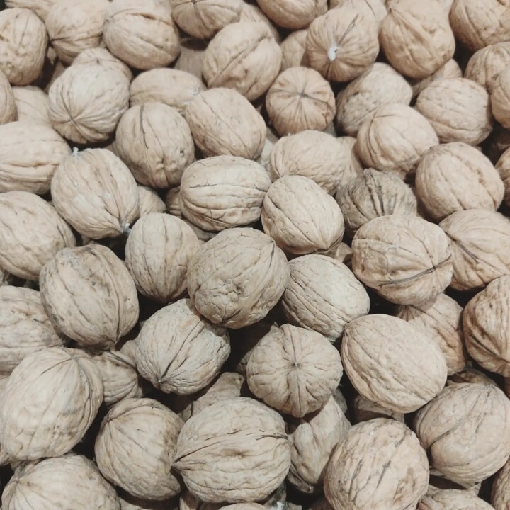 399988037_721736876650392_6798441449940977088_n.jp