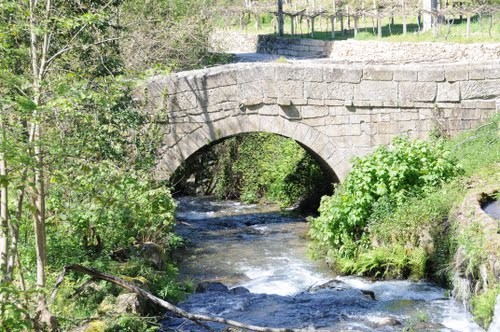 15 b ponte folia remoães.jpg