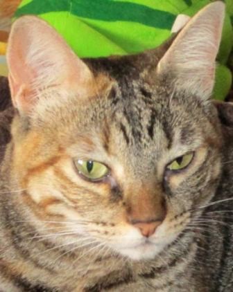 98108512_2712374905701303_8078872898690875392_n.jp 98108512_2712374905701303_8078872898690875392_n.jp