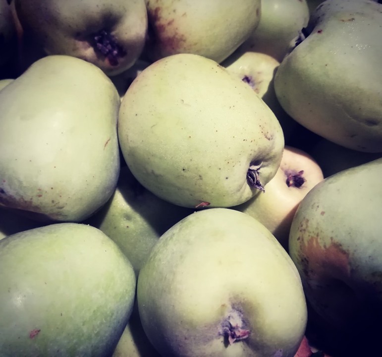 69815869_1459149757558114_4714557146660864000_n.jp