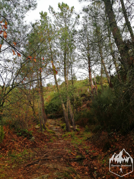 Photo_1582917394135.jpg Photo_1582917394135.jpg